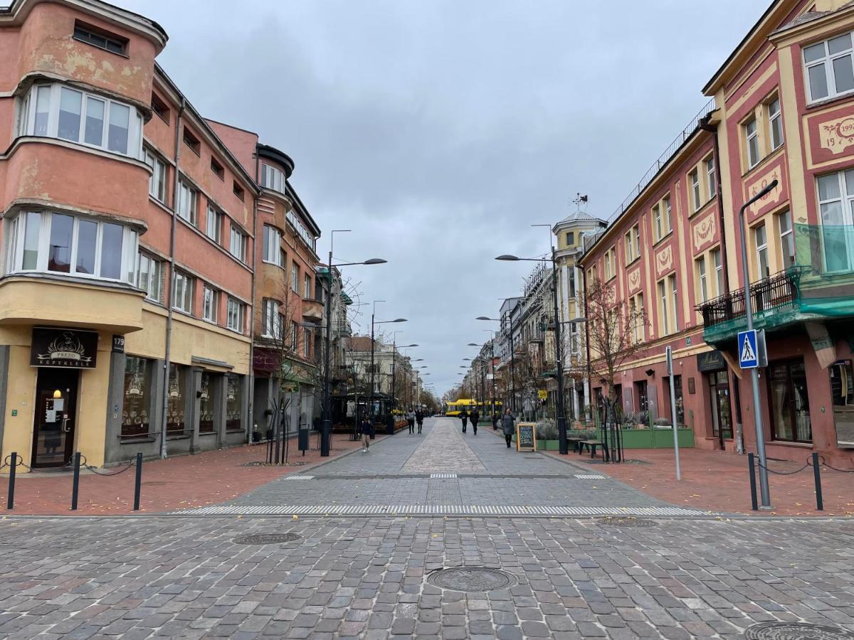 Jaukus Apartamentai Miesto Centre Lejlighed Šiauliai Eksteriør billede
